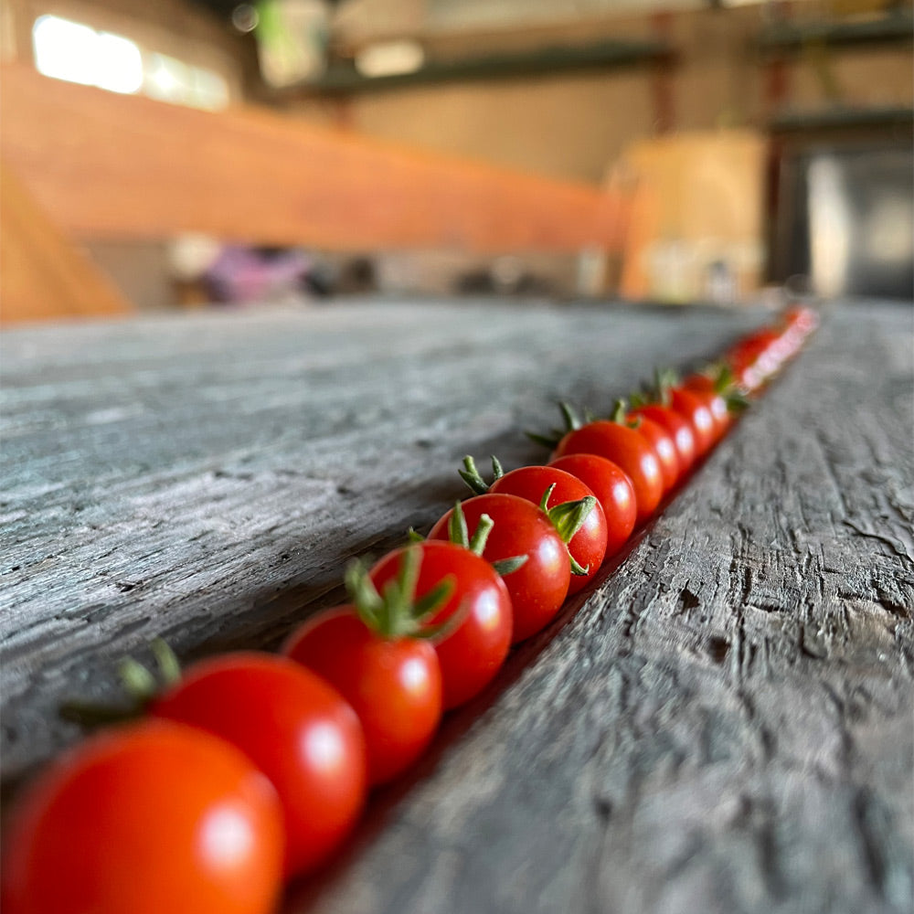 TOMATE CHERRY, CUCHARITA