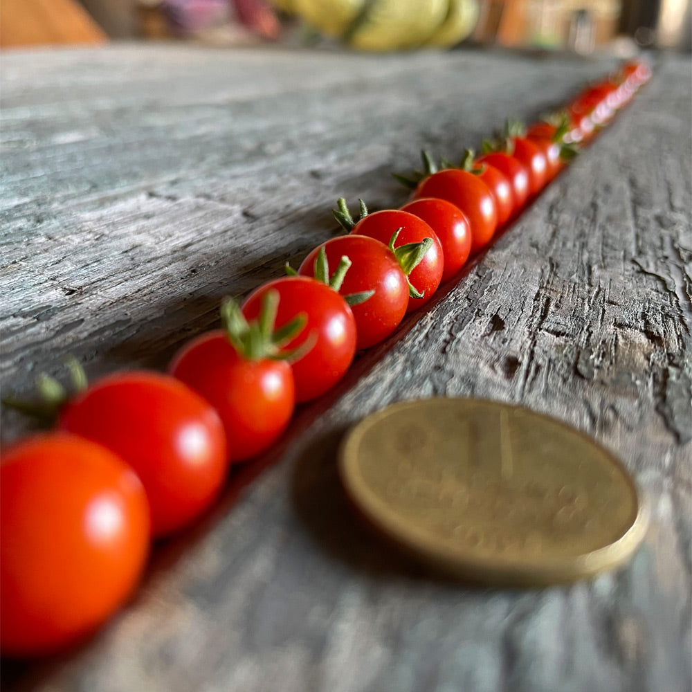TOMATE CHERRY, CUCHARITA