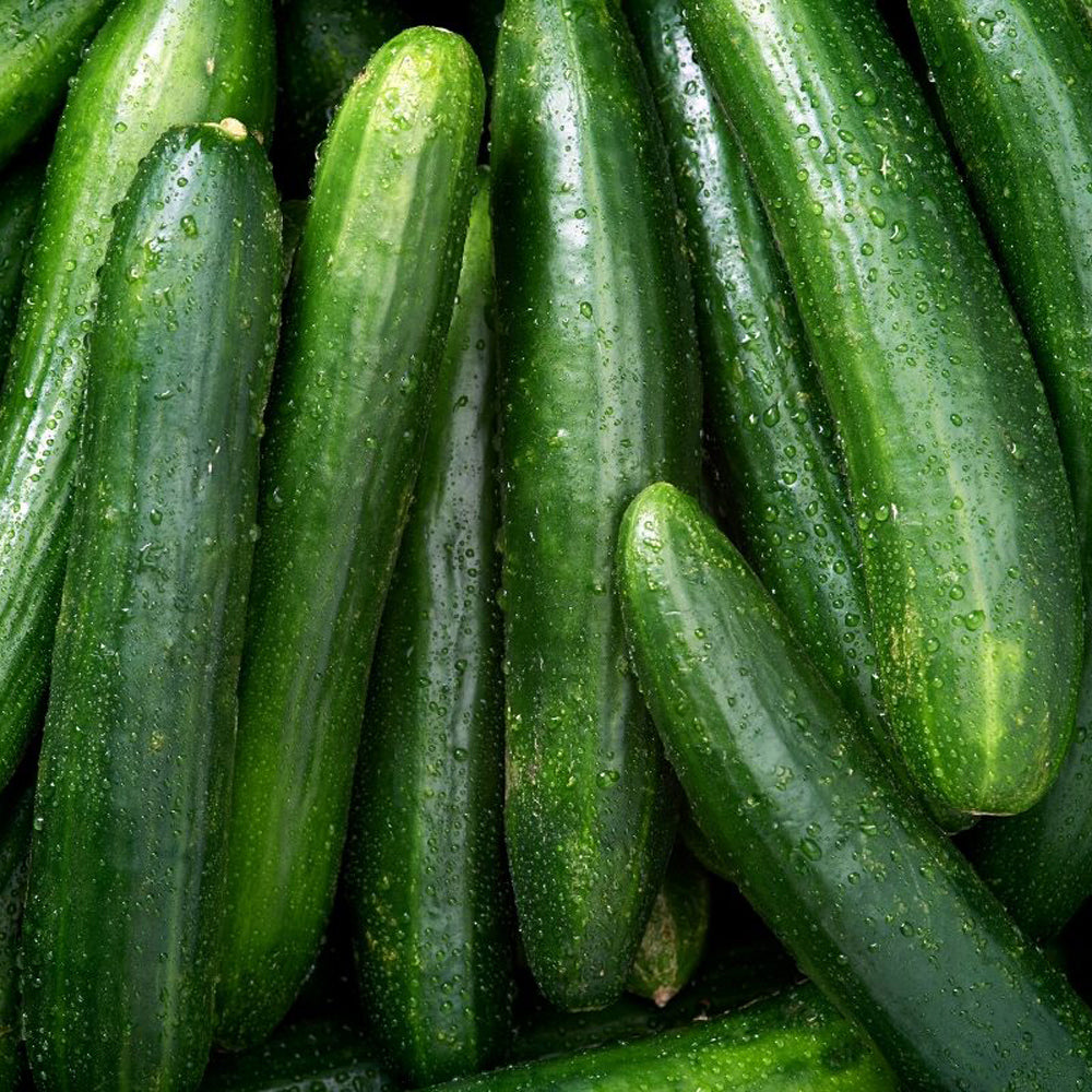 PEPINO LIBANÉS