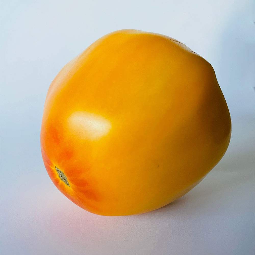 TOMATE, CORAZÓN AMARILLO