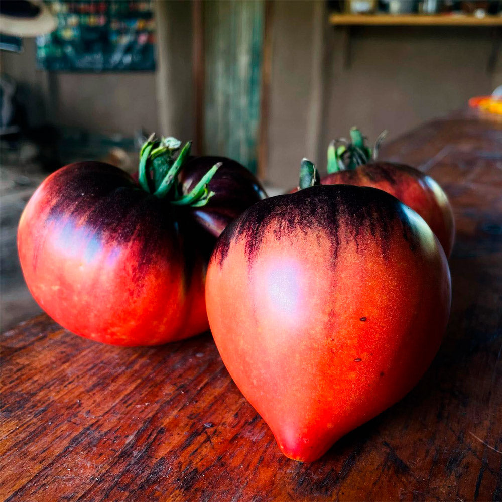 TOMATE, CORAZÓN NEGRO