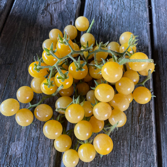 TOMATE CHERRY, BLANCO