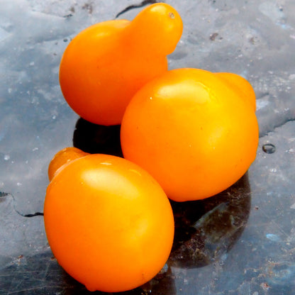 TOMATE CHERRY, PERITA AMARILLO