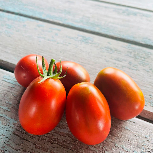 TOMATE CHERRY, PERITA CHOCOLATE