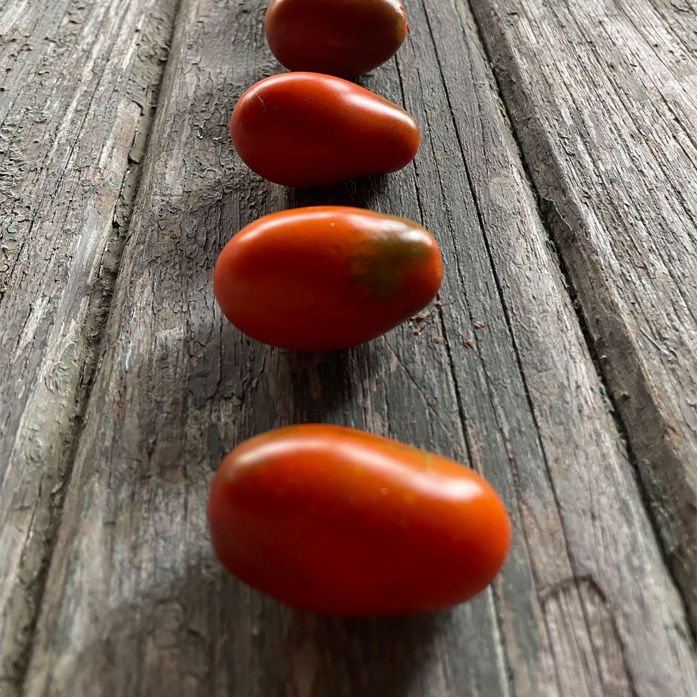 TOMATE CHERRY, PERITA CHOCOLATE