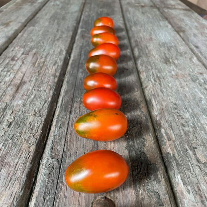 TOMATE CHERRY, PERITA CHOCOLATE