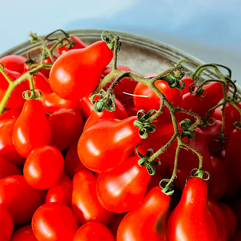 TOMATE CHERRY, PERITA ROJO