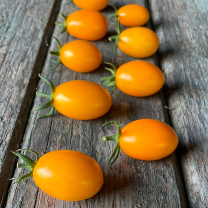 TOMATE CHERRY, UVA AMARILLO