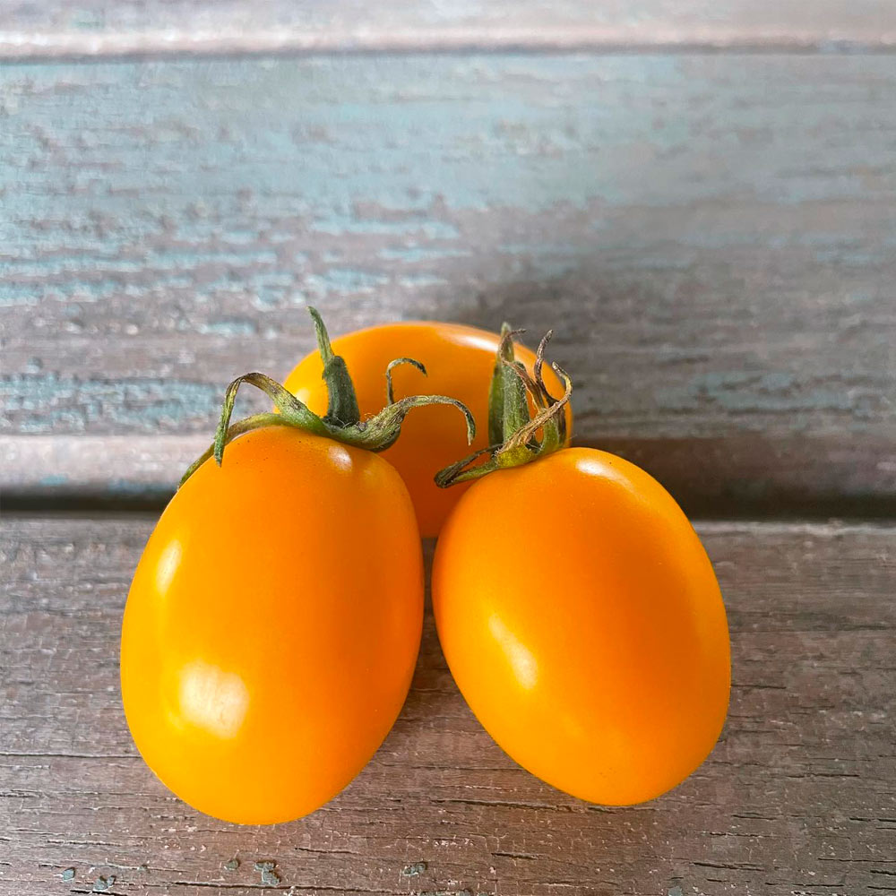 TOMATE CHERRY, UVA AMARILLO