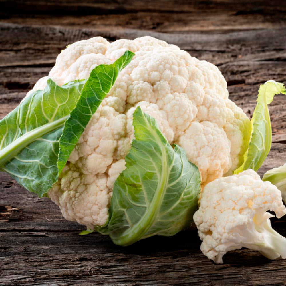 COLIFLOR, SNOWBALL