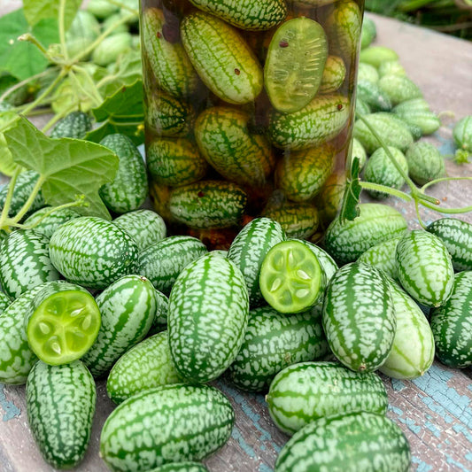 CUCAMELON