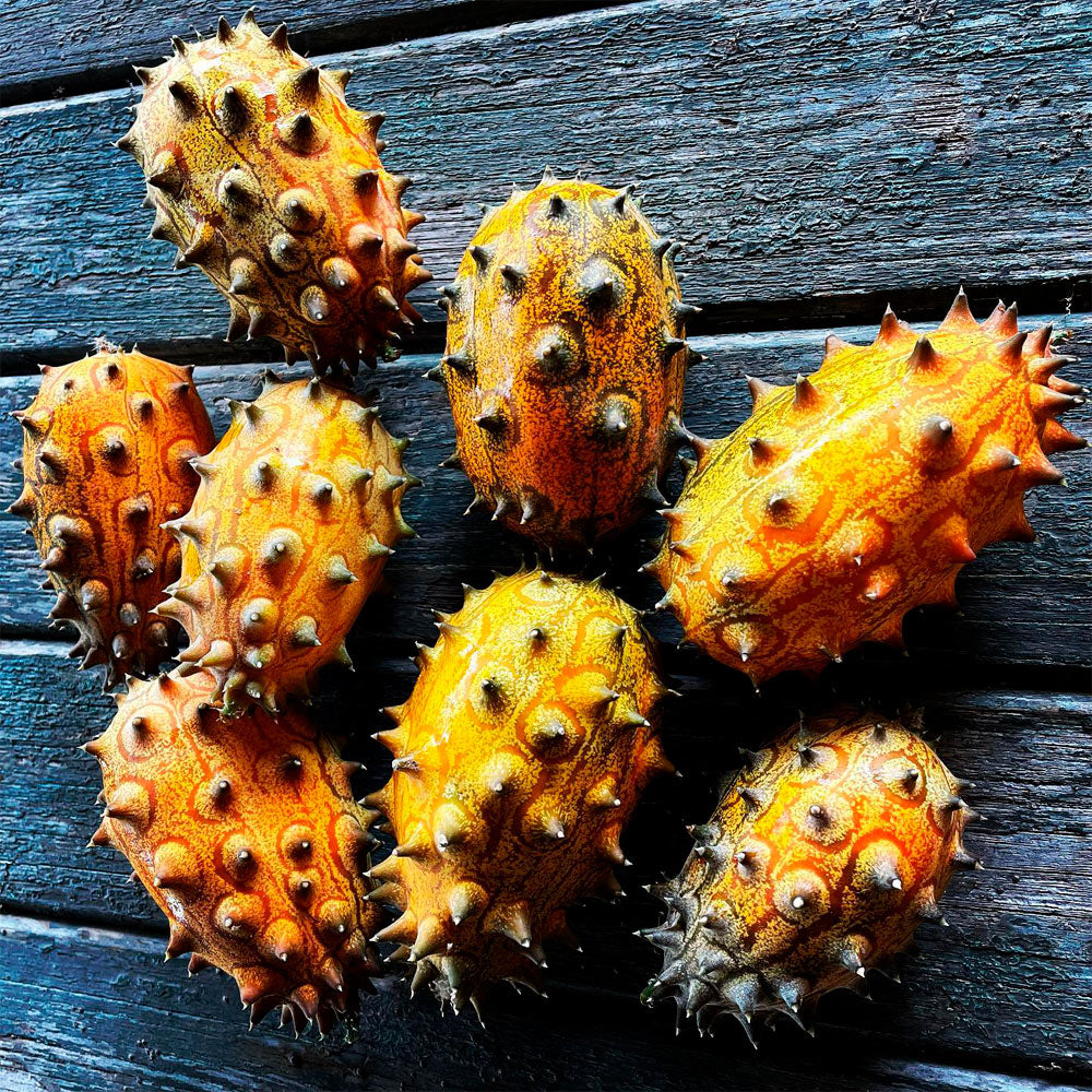 KIWANO