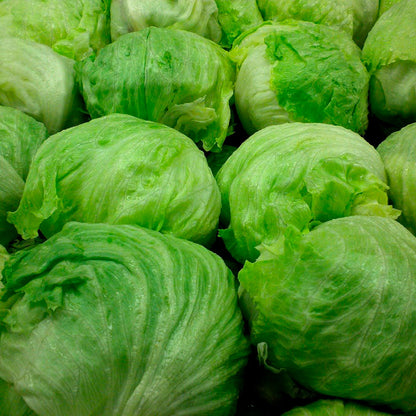 LECHUGA ICEBERG