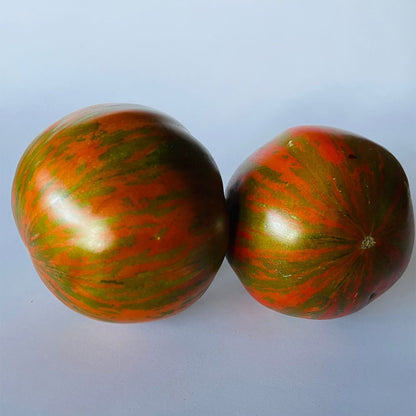 TOMATE, CHOCOLATE STRIPES