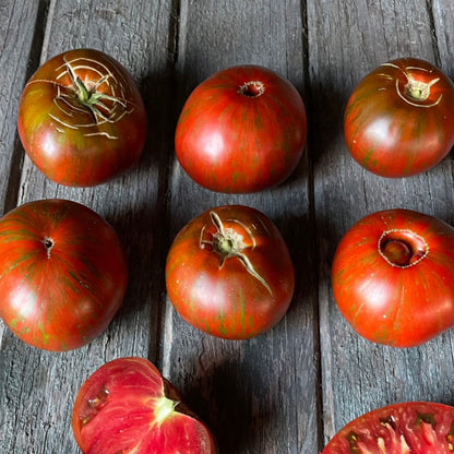 TOMATE, CHOCOLATE STRIPES