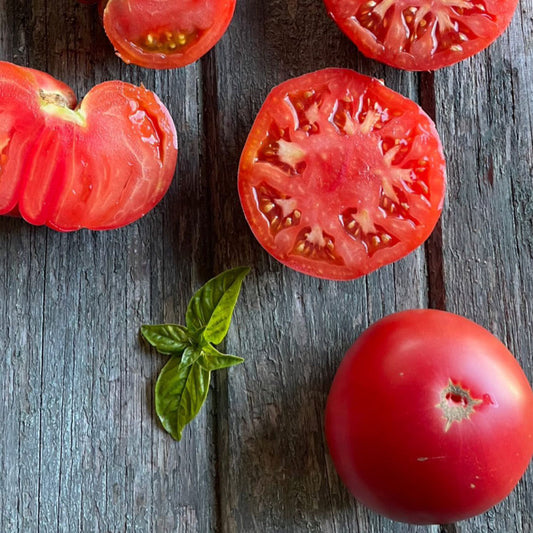 TOMATE, GERMAN PINK