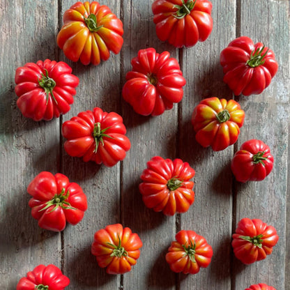 TOMATE, MUSHROOM BASKET