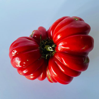 TOMATE, MUSHROOM BASKET