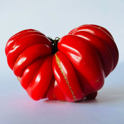 TOMATE, MUSHROOM BASKET