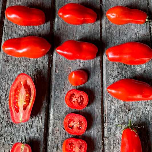 TOMATE, SAN MARZANO