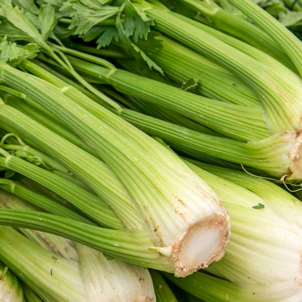 APIO, VERDE GIGANTE