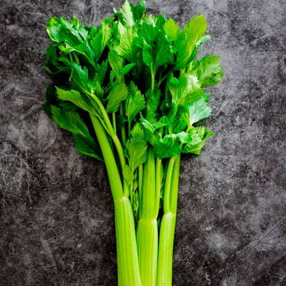 APIO, VERDE GIGANTE