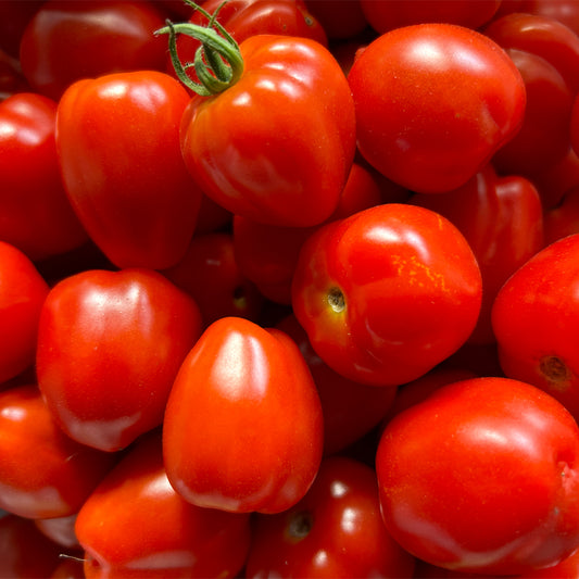 TOMATE CHERRY BERRY