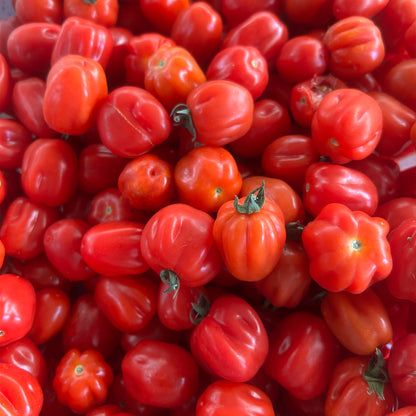 TOMATE CHERRY ACORDEON