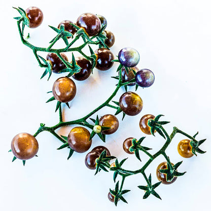 TOMATE CHERRY BLUE CREAM