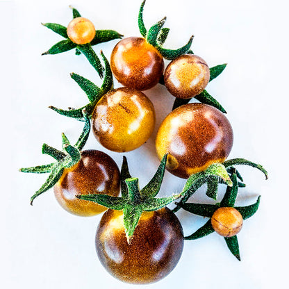 TOMATE CHERRY BLUE CREAM