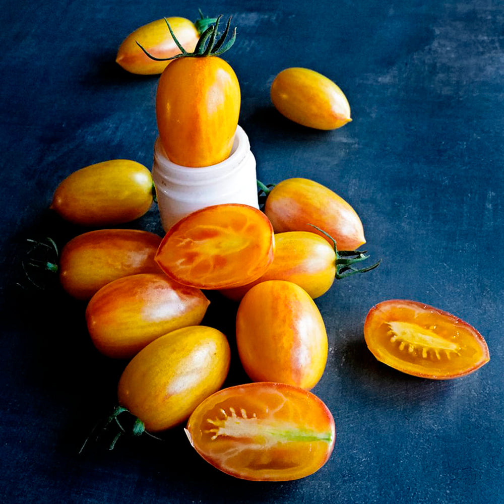 TOMATE CHERRY BLUSH TIGER