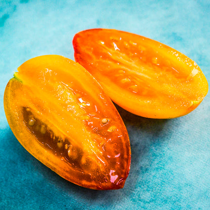 TOMATE CHERRY BLUSH TIGER