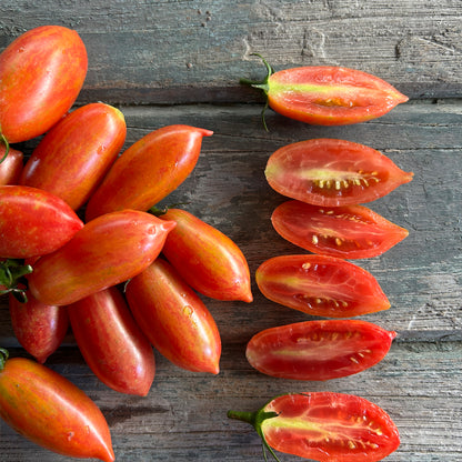 TOMATE CHERRY PINK TIGER