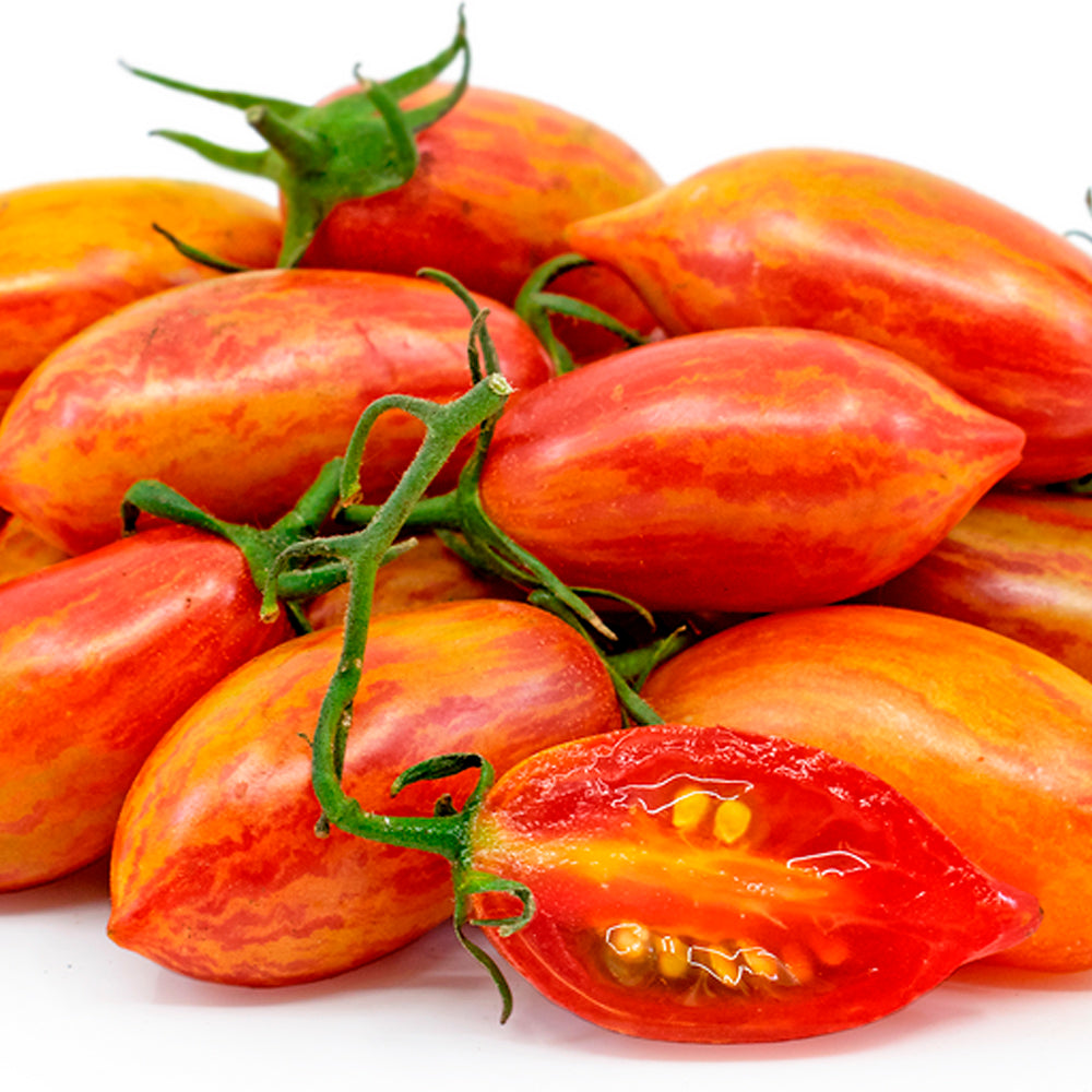 TOMATE CHERRY PINK TIGER